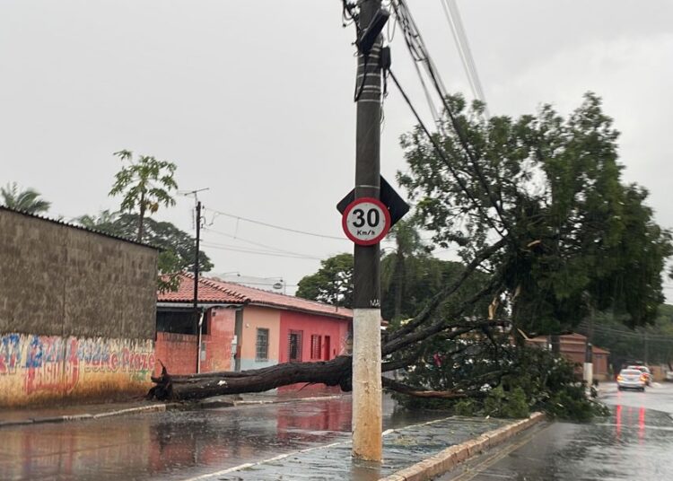 Chuva Causa Estragos Na Cidade Correio De Itapetininga