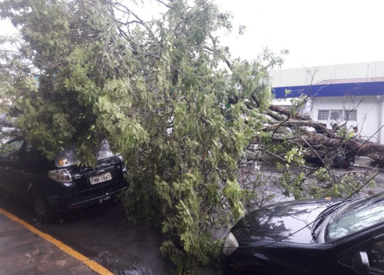 Novembro bate recorde e casos de Covid chegam a 2,7 mil