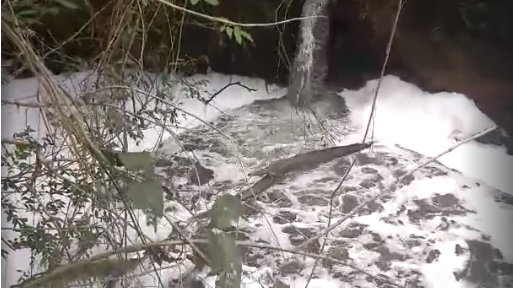 Cetesb autua Sabesp por espuma e odor em rio da cidade