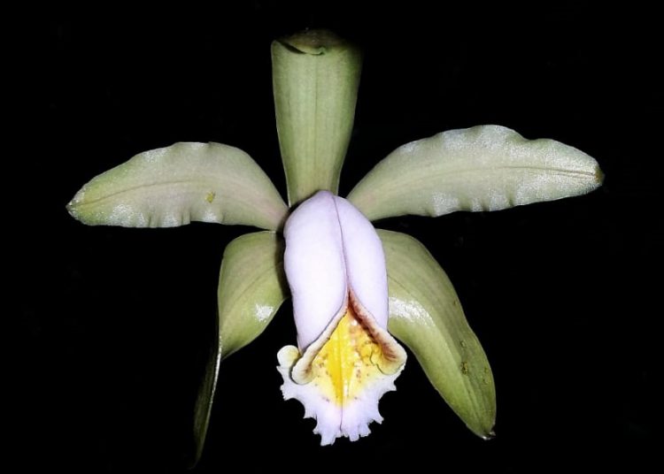 Prefeitura exonera 49 comissionados após decisão do TJSP