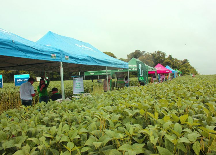 Coplacana realiza a 3ª Copla Soja em Itapetininga