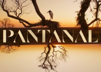 Confira o resumo das novelas para a próxima semana