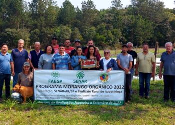 Sindicato Rural abre inscrições para cursos gratuitos