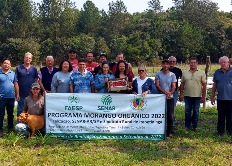 Sindicato Rural abre inscrições para cursos gratuitos