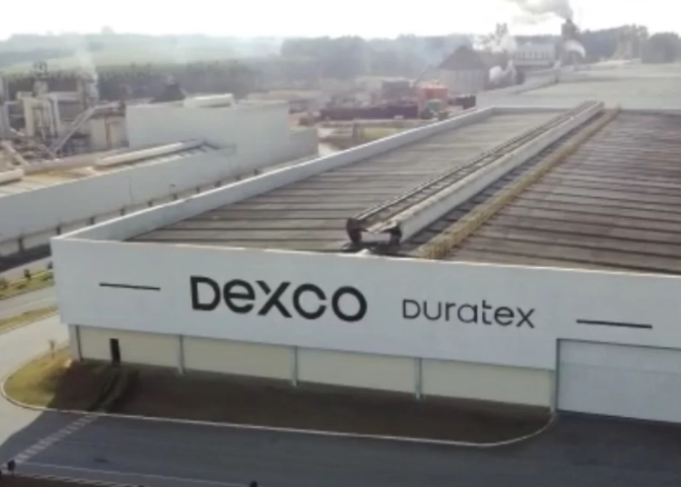 Empresa Dexco tem vagas para programa de estágio 2023