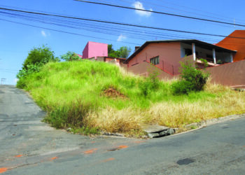 Até o momento, 1.941 desses proprietários atenderam às notificações, enquanto 226 foram multados em R$ 2.146,15 cada por não atenderem à exigência de limpeza, totalizado R$ 485.029,09. Foto - Arquivo