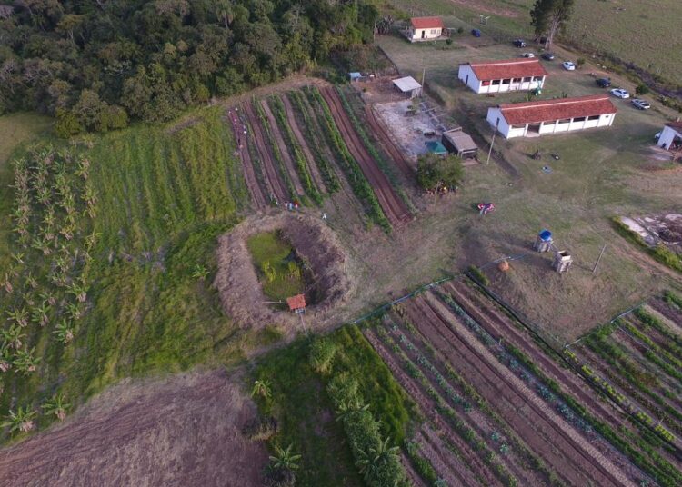 Modelo de agricultura orgânica cresce em Itapetininga