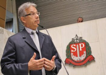 Nas eleições de 2022, Giriboni ficou na condição de primeiro suplente após uma retotalização de votos