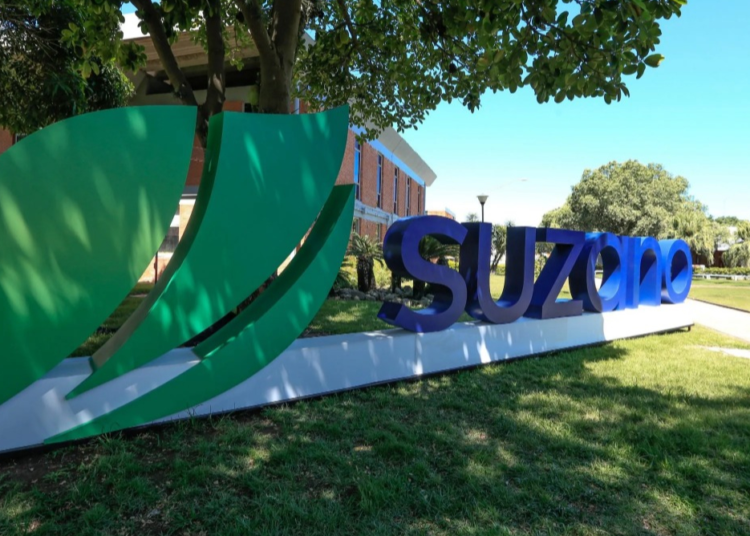 Suzano e Instituto Terroá fortalecem agricultura familiar