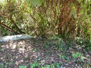 Habitantes da região relatam sobre sentimento de abandono. Foto - Arquivo pessoal