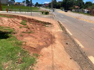 Aranhas, baratas e escorpiões, têm encontrado abrigo nos terrenos abandonados, próximos ao condomínio local. Foto - Arquivo pessoal