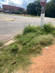 Moradores do bairro Cambuí reclamam sobre a falta de roçagem na altura da Avenida Dr José Lembo. Foto - Arquivo pessoal