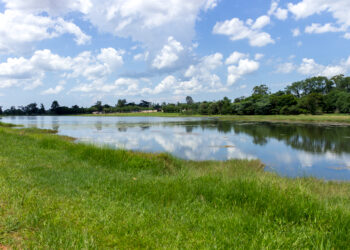informações da Polícia Ambiental, a pesca irregular durante a piracema é considerada crime ambiental