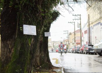 O COMDEMA sugere medidas preventivas, incluindo a realização de uma vistoria ampla em toda a cidade, a contratação de profissionais especializados e a criação de um canal para denúncias da população. Foto - Arquivo Jornal Correio de Itapetininga