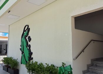 Este é o segundo caso em menos de um mês envolvendo denúncias de supostas negligências médicas no HLOB. Foto - Vitória Mendes