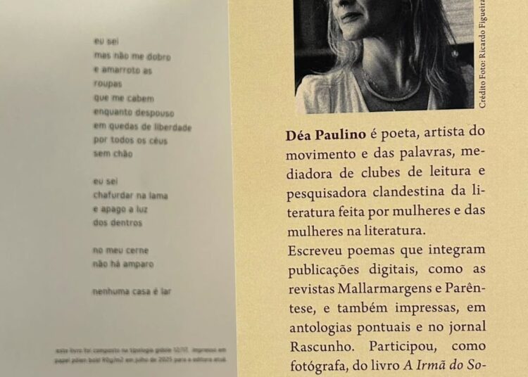 De acordo com a escritora, a ideia e o título do livro vieram de uma fixação com uma sequência de poemas. Foto - Redes sociais