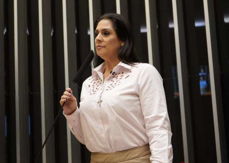 simone marquetto jornal correio de itapetininga pl da devastação