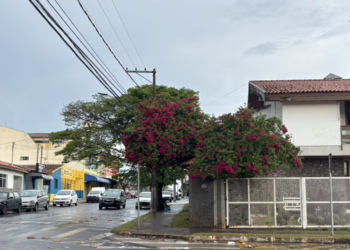 As chuvas também devem aumentar, com o mês de setembro tendo 20% de chance de chuvas e em novembro, fim da estação, 48%. Foto - Laura Oliveira