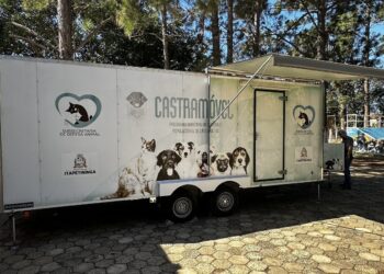 Castramóvel chega à vila Belo Horizonte e Jardim das Flores com 162 vagas para castração gratuita