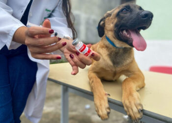 Castramóvel oferece vacinação contra a raiva para cães e gatos no bairro Taboãozinho