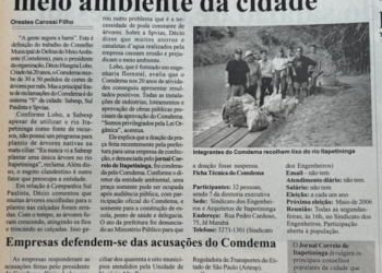 Outro problema citado é a necessidade de poda constante das árvores. Foto - Arquivo Jornal Correio