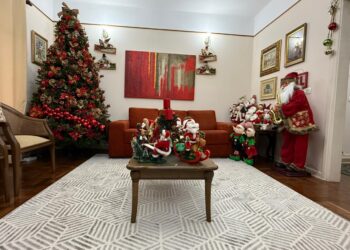 A coleção é formada por itens comprados principalmente na Rua 25 de Março, em São Paulo, mas muitos foram adquiridos em Itapetininga ou recebidos de presente de parentes e amigos. Foto - Arquivo pessoal
