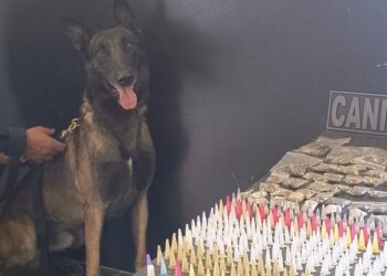 Quase 500 porções de drogas foram localizadas em Itapetininga