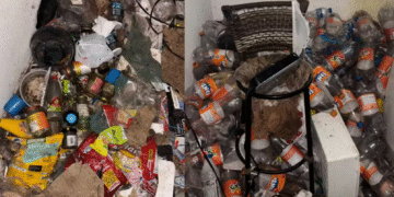 Mulher é presa por maus-tratos a 23 animais em Itapetininga