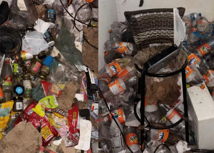 Mulher é presa por maus-tratos a 23 animais em Itapetininga