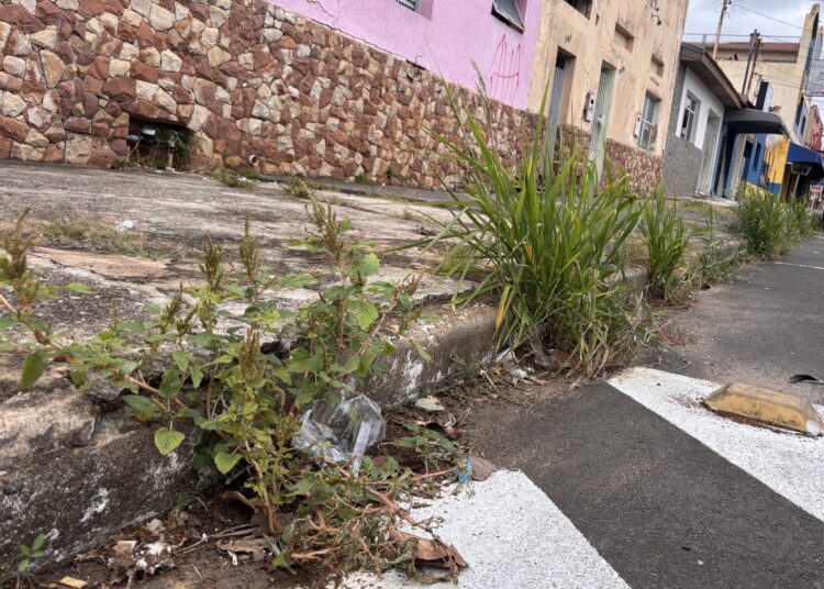 Moradores reclamam de mato alto em ruas de Itapetininga