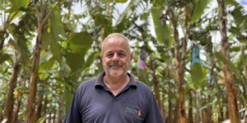 Pequeno produtor de banana orgânica consegue negócio sustentável
