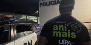 Seis animais são resgatados após denúncias de maus-tratos em Itapetininga