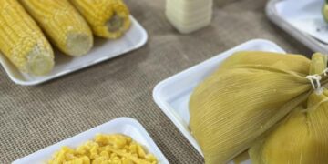 40ª Festa do Milho de Itapetininga começa nessa quarta