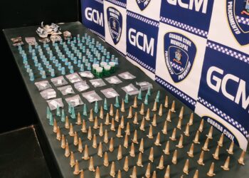 O material foi apresentado no Plantão Policial, onde a autoridade policial adotou as medidas cabíveis. Foto - Divulgação