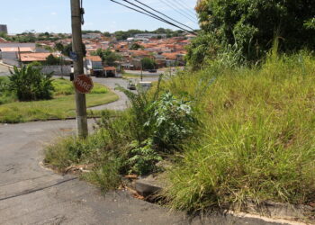 Prefeitura aplica 129 multas mensais por terrenos sujos