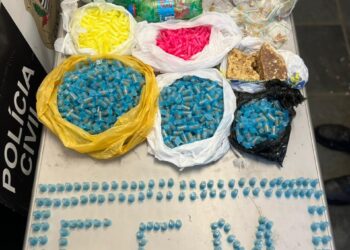 Mais de 1,6 mil porções de drogas são apreendidas em ação na Vila Arruda