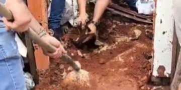 Laudo aponta que menina de cinco anos foi enterrada viva em Itapetininga