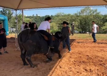 Festival do Búfalo reúne atrações musicais, workshops e praça de alimentação em Sarapuí