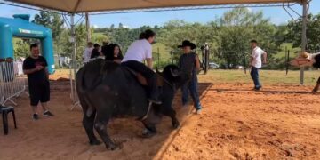 Festival do Búfalo reúne atrações musicais, workshops e praça de alimentação em Sarapuí