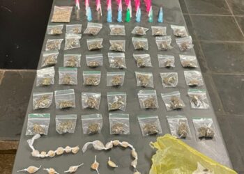 Guarda Municipal apreende 175 porções de drogas no Taboãozinho. Jornal Correio de Itapetininga