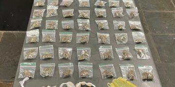 Guarda Municipal apreende 175 porções de drogas no Taboãozinho. Jornal Correio de Itapetininga